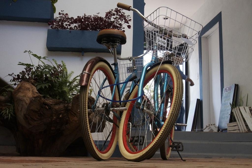 Blue Bicycle House Querétaro Exterior foto
